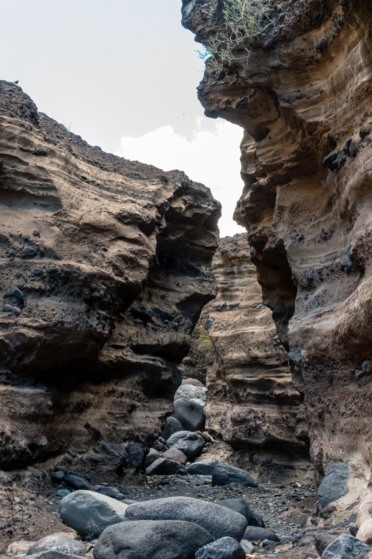 trockener Flusslauf im Aridanetal